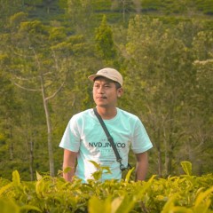 Arif Hidayat